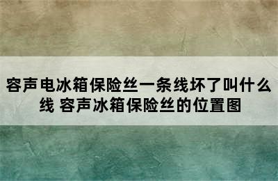 容声电冰箱保险丝一条线坏了叫什么线 容声冰箱保险丝的位置图